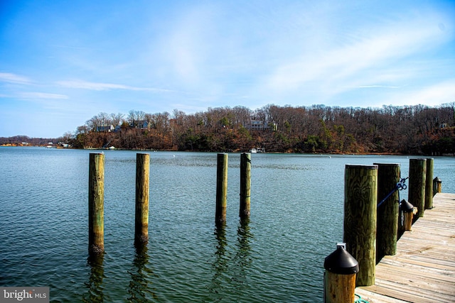 dock area featuring a water view