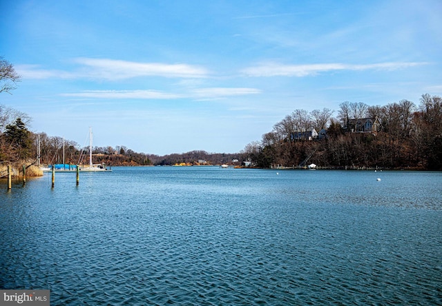 view of water feature featuring a boat dock