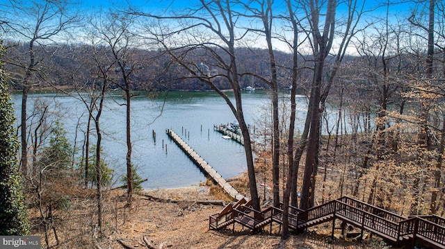 water view with a view of trees and a dock