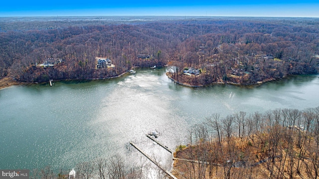 drone / aerial view with a view of trees and a water view