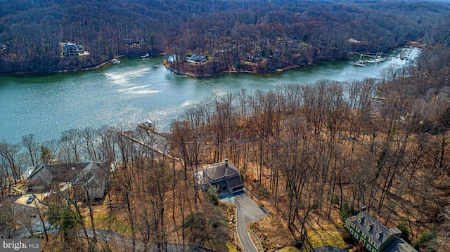 bird's eye view featuring a water view and a wooded view