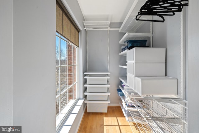 spacious closet featuring wood finished floors