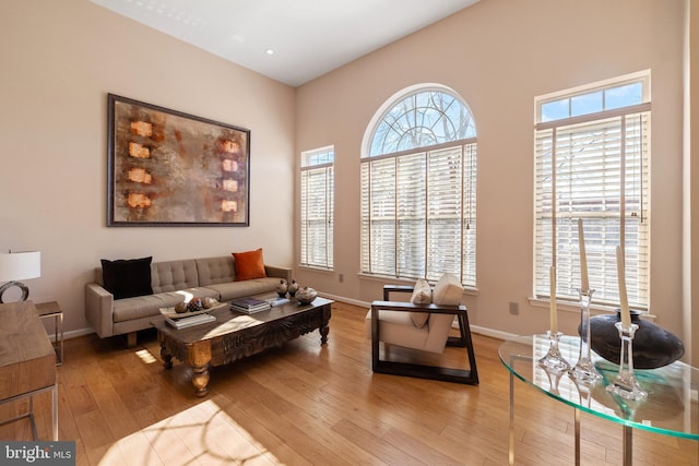 living area featuring baseboards and wood finished floors