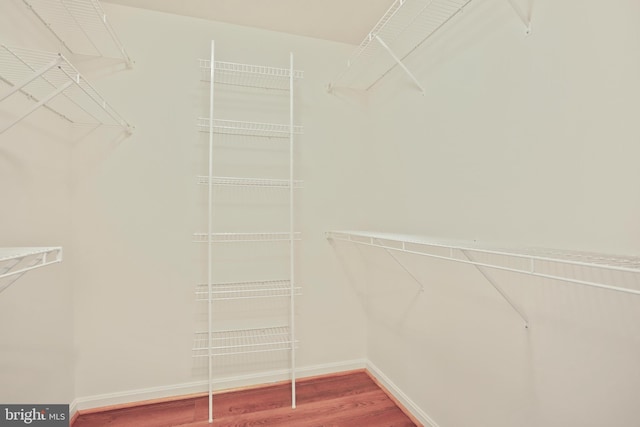 spacious closet with wood finished floors