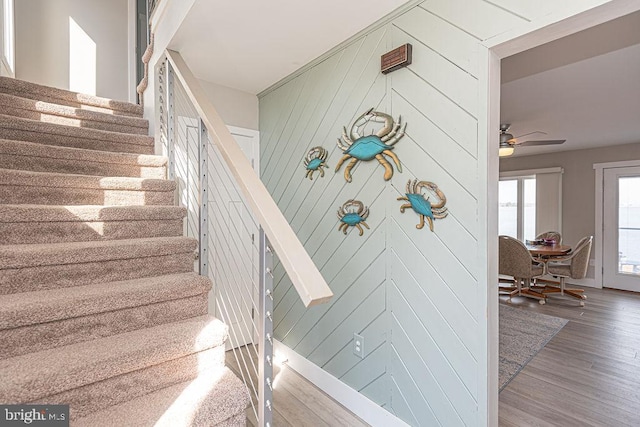 stairway featuring a ceiling fan and wood finished floors