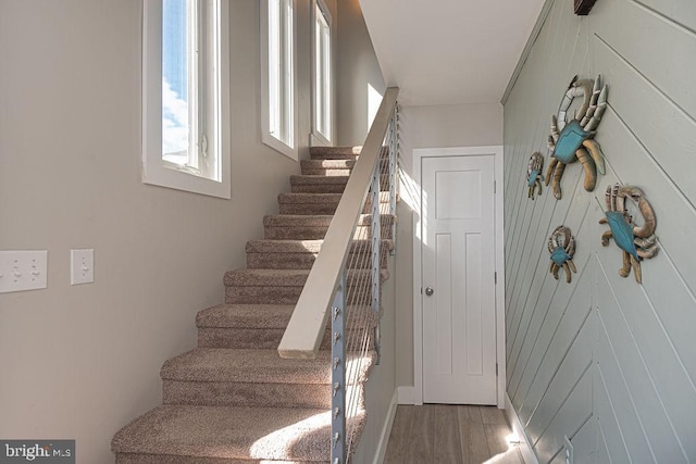 staircase with wood finished floors