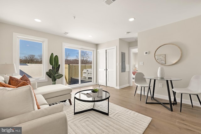 living area with baseboards, light wood finished floors, and a healthy amount of sunlight