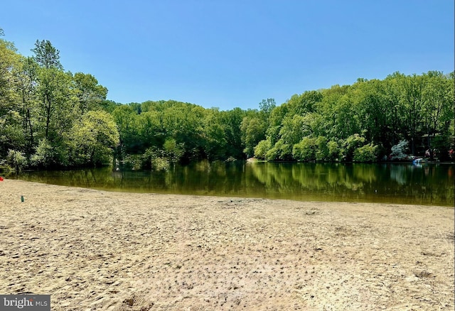 water view featuring a forest view