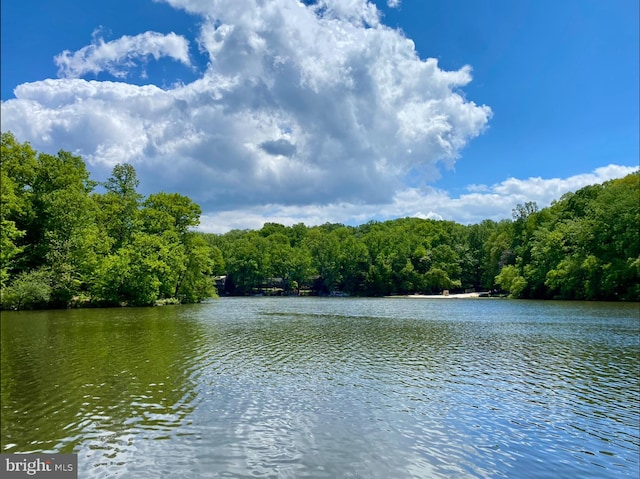 view of water feature with a wooded view