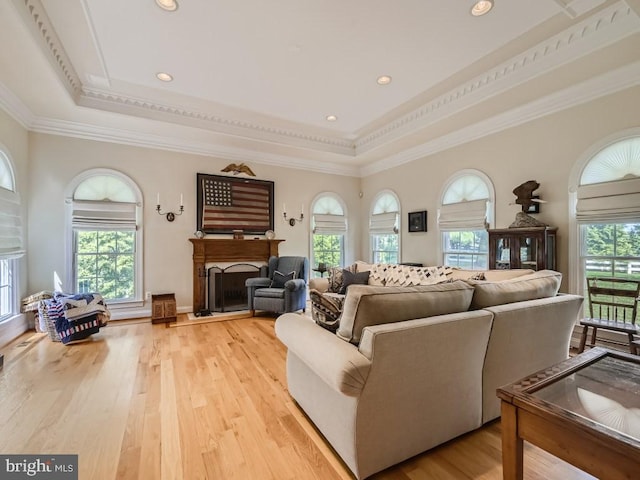 living area with a wealth of natural light, light wood-type flooring, a raised ceiling, and a fireplace