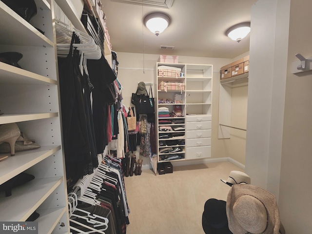 spacious closet featuring attic access, visible vents, and carpet floors