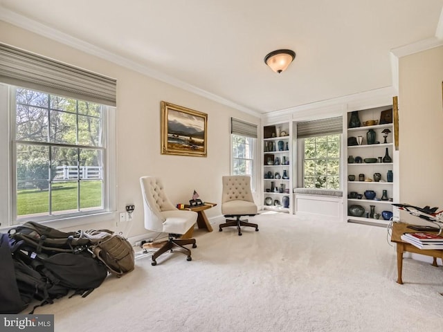 sitting room with carpet, baseboards, and crown molding