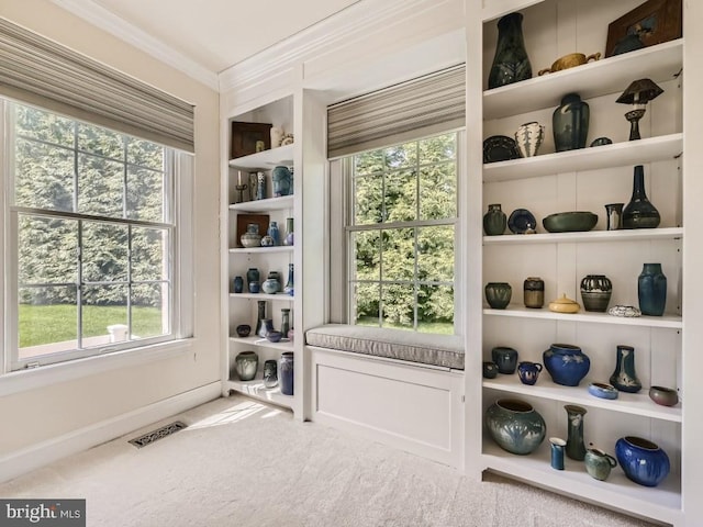 interior space featuring ornamental molding, carpet, visible vents, and built in features