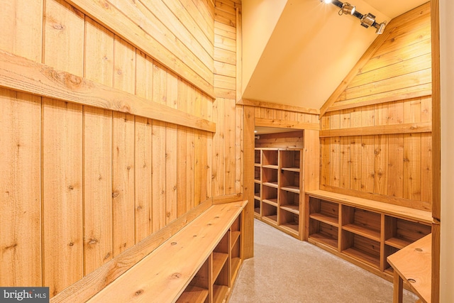 view of sauna featuring carpet floors