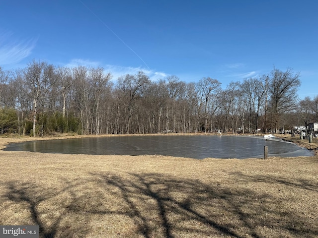 view of yard with a water view