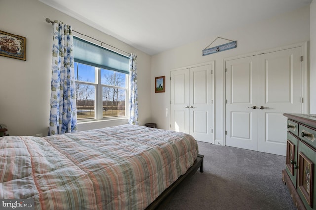 carpeted bedroom featuring multiple closets