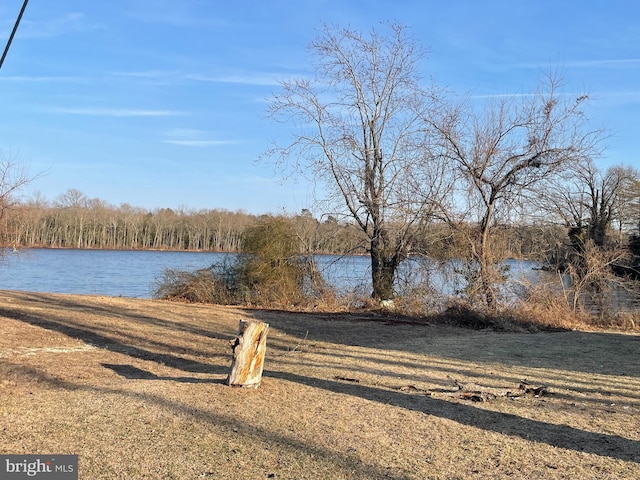 view of yard with a water view