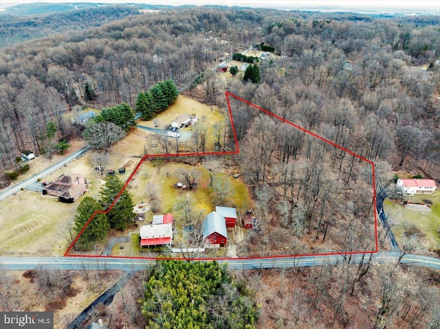 drone / aerial view featuring a view of trees