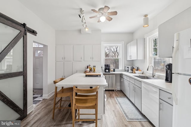 kitchen featuring radiator, a barn door, a healthy amount of sunlight, a sink, and white appliances