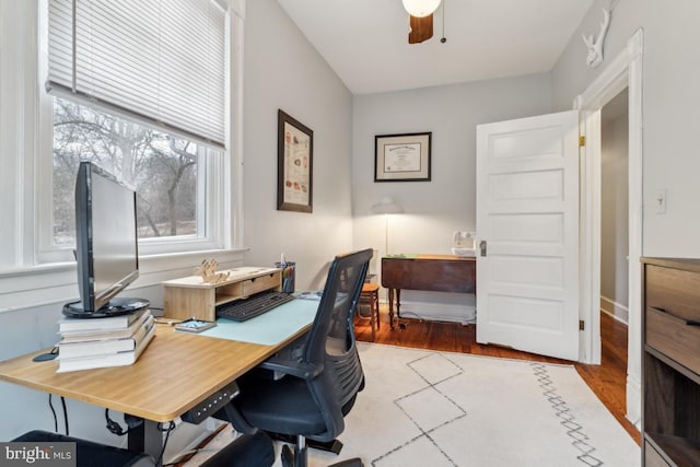 office area featuring ceiling fan and wood finished floors