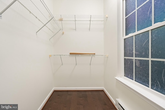 spacious closet featuring dark wood-style flooring and a baseboard radiator