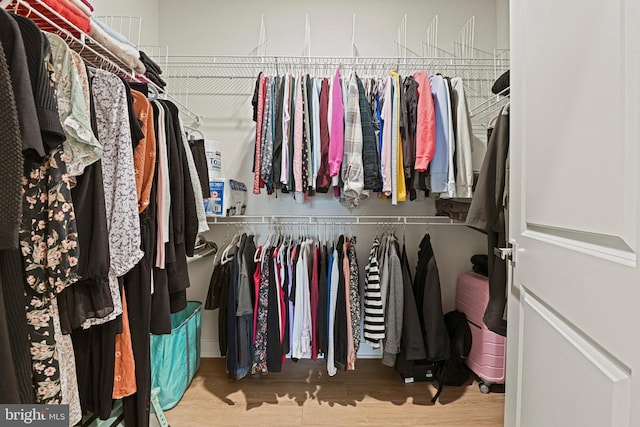 spacious closet featuring wood finished floors