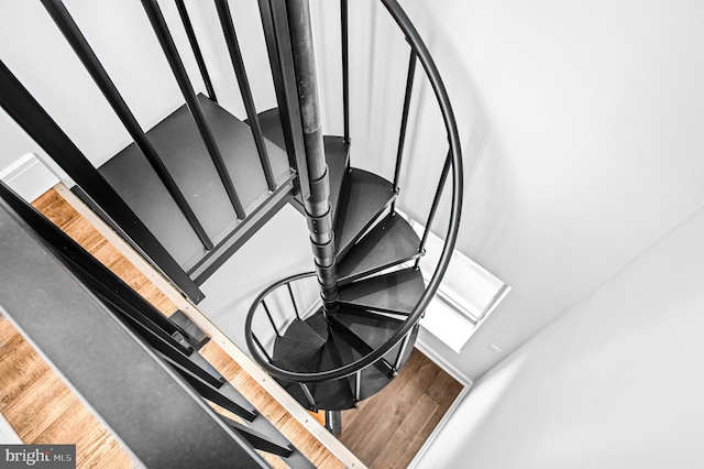 stairway with wood finished floors