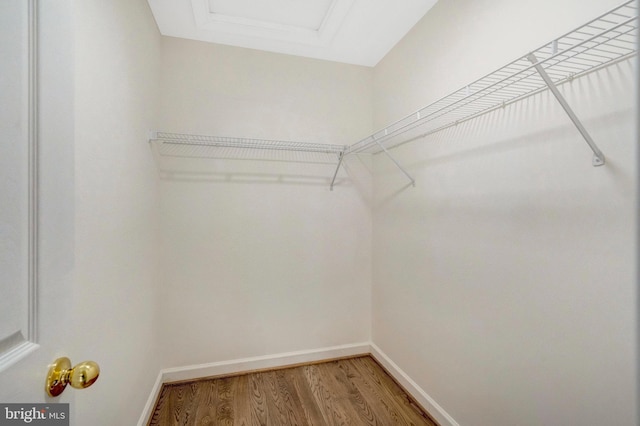 spacious closet featuring a tray ceiling and light wood-style floors