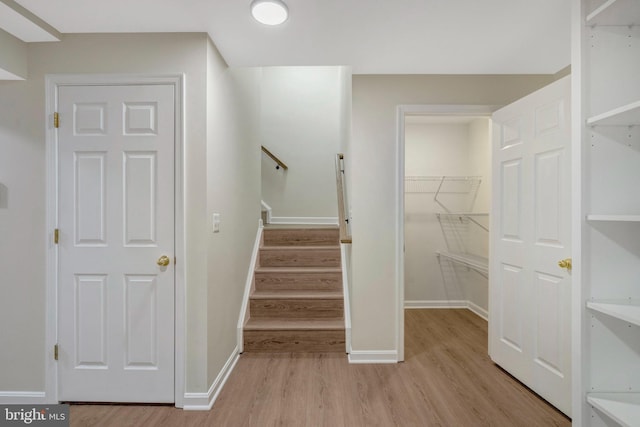 walk in closet with light wood-type flooring