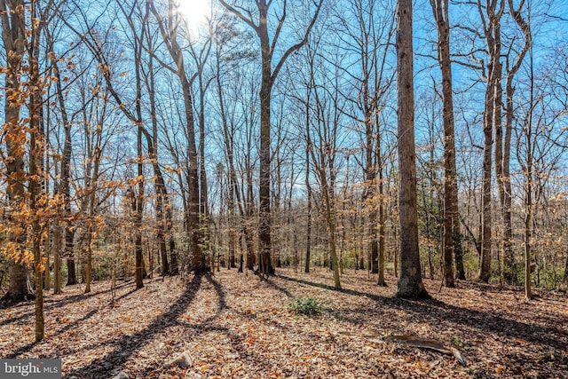 view of nature featuring a wooded view