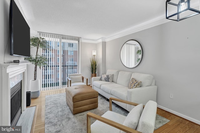 living area with a wall of windows, a premium fireplace, baseboards, and wood finished floors