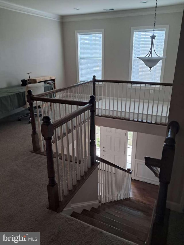 1392 Hickory Hill Rd, Chadds Ford, PA 19317 - staircase featuring a healthy amount of sunlight, carpet, ornamental molding, and wood finished floors
