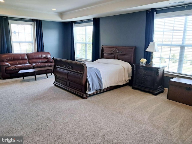 1392 Hickory Hill Rd, Chadds Ford, PA 19317 - bedroom featuring carpet floors, multiple windows, ornamental molding, and a tray ceiling