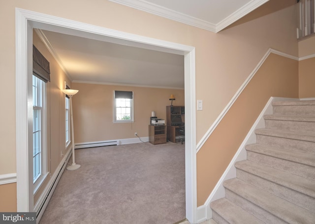 staircase featuring baseboard heating, carpet flooring, crown molding, and baseboards