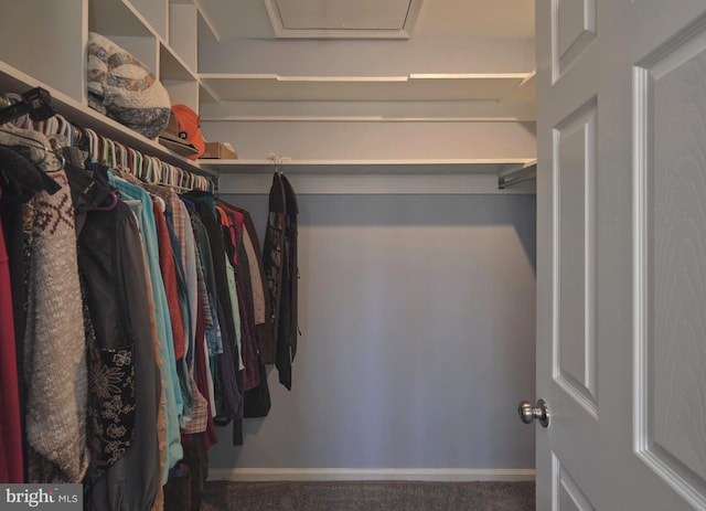 walk in closet with carpet flooring