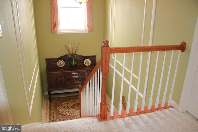 stairs featuring carpet floors