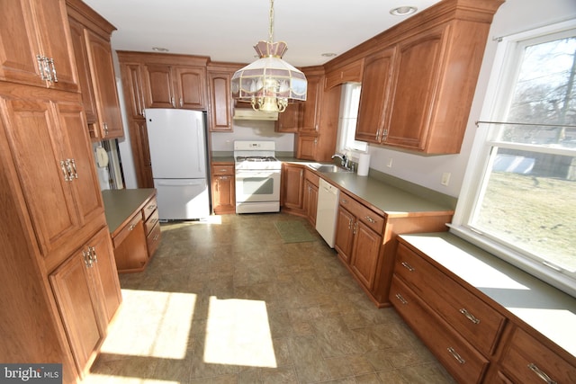 kitchen with white appliances, under cabinet range hood, and brown cabinets