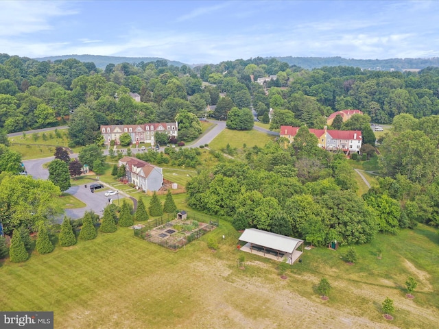 drone / aerial view