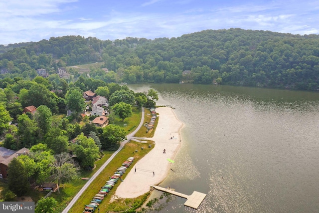 drone / aerial view of a large body of water and a heavily wooded area