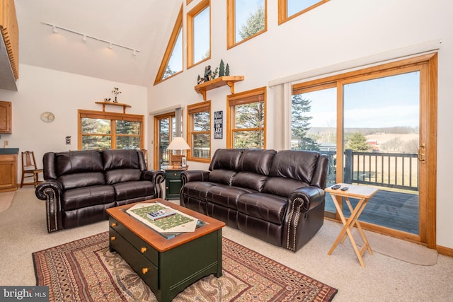 carpeted living area with high vaulted ceiling and track lighting