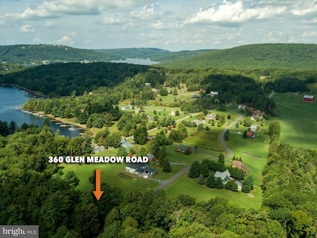 bird's eye view with a water view and a view of trees