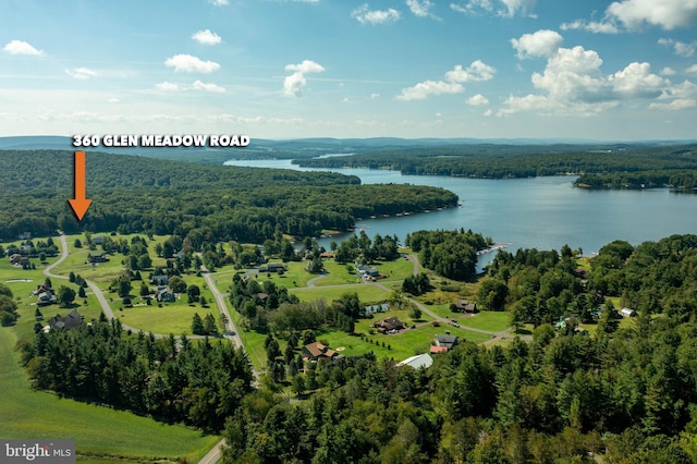 bird's eye view with a water view and a forest view