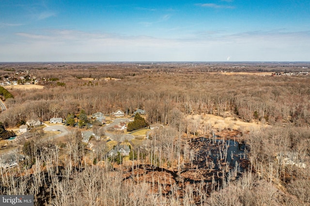 view of local wilderness