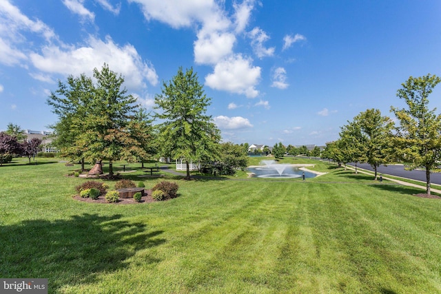 view of property's community with a yard