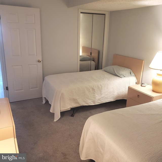 bedroom featuring carpet floors, a closet, and a textured ceiling