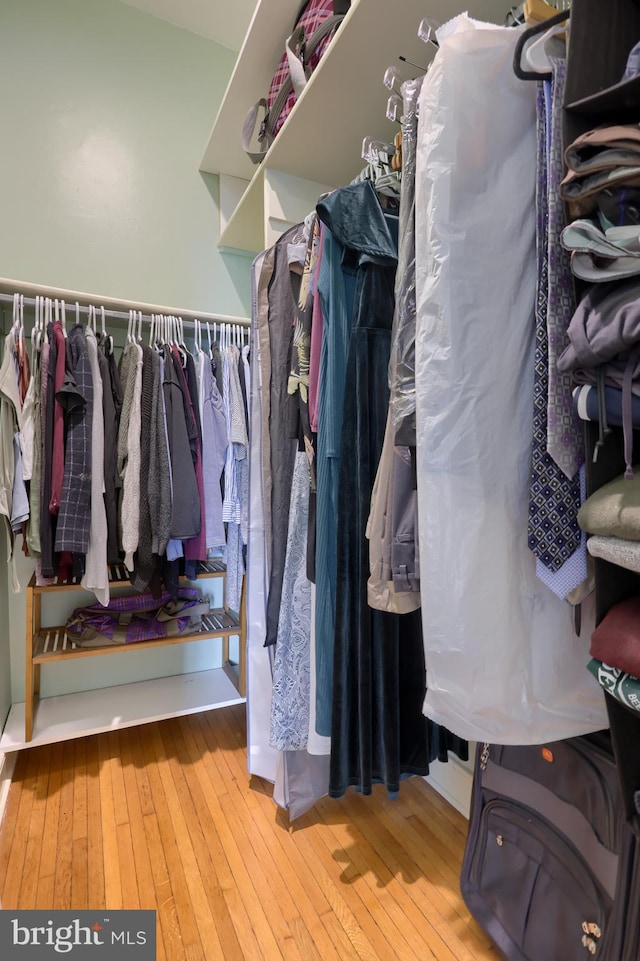 spacious closet with hardwood / wood-style floors