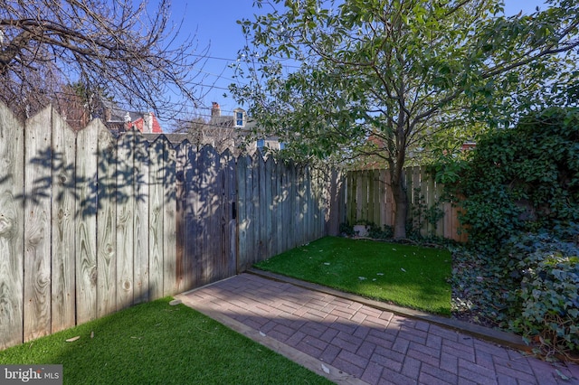 view of yard with a patio area and a fenced backyard