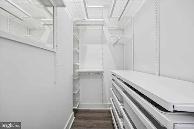 walk in closet with dark wood finished floors