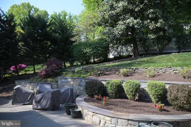 view of yard with a patio area