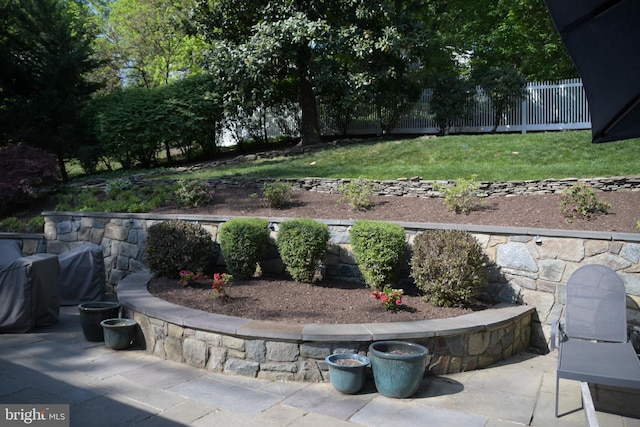 view of yard featuring a patio and fence